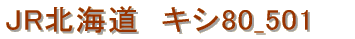 JR�k�C���@�L�V80_501�@�g�}���T�z���G�N�X�v���X
