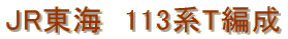 JR���C�@113�nT�Ґ�