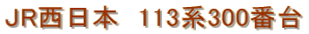 JR�����{�@113�n300�ԑ�