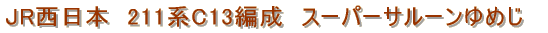 JR�����{�@211�nC13�Ґ� �[�p�[�T���[����߂�