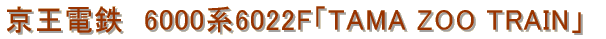 �����d�S�@6000�n�@����������p��6022F�uTAMA ZOO TRAIN�v