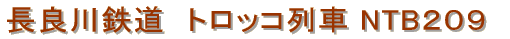 長良川鉄道　NTB209形　トロッコ列車牽引機