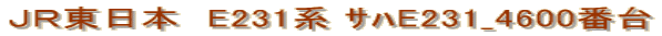 �i�q�����{�@E231�n ��E231_4600�ԑ�