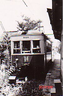 �x�R�n���S���@�ː����@�f5020�@�V�`�����w